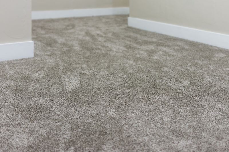 Finished Carpet with a Fresh Look