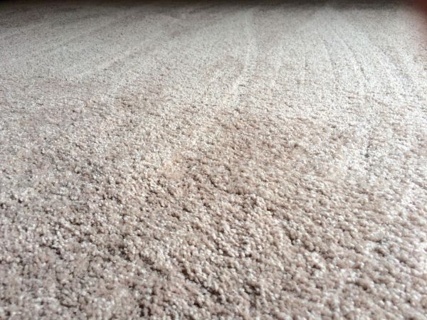 Plush Carpet Installation in Antioch